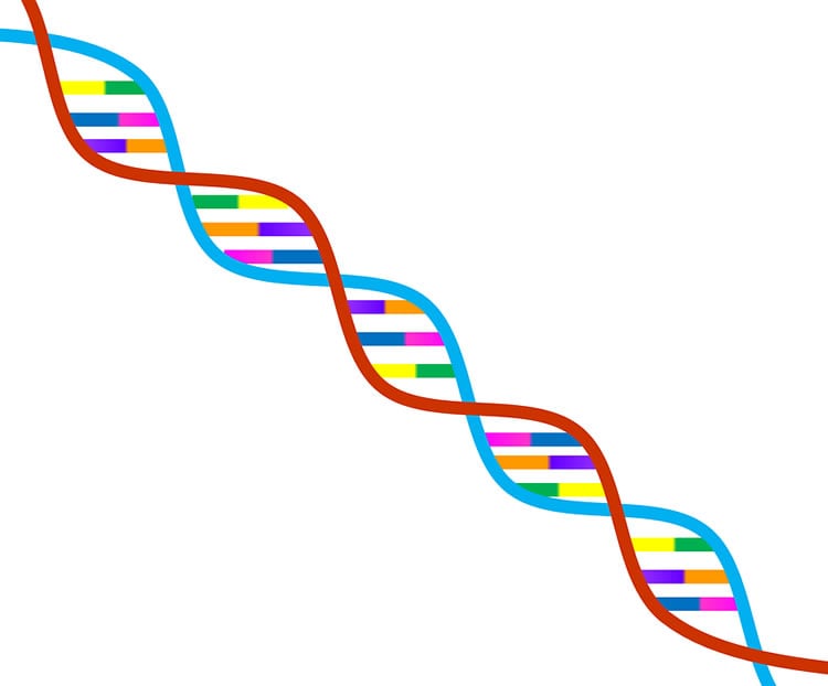 This is a brightly colored dna strand