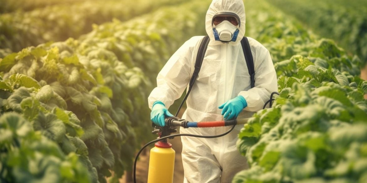 This shows a man spraying pesticides in a field.